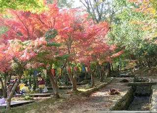 尾高山　写真