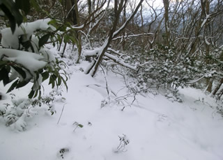 尾高山　写真