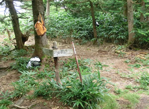 白草山　写真